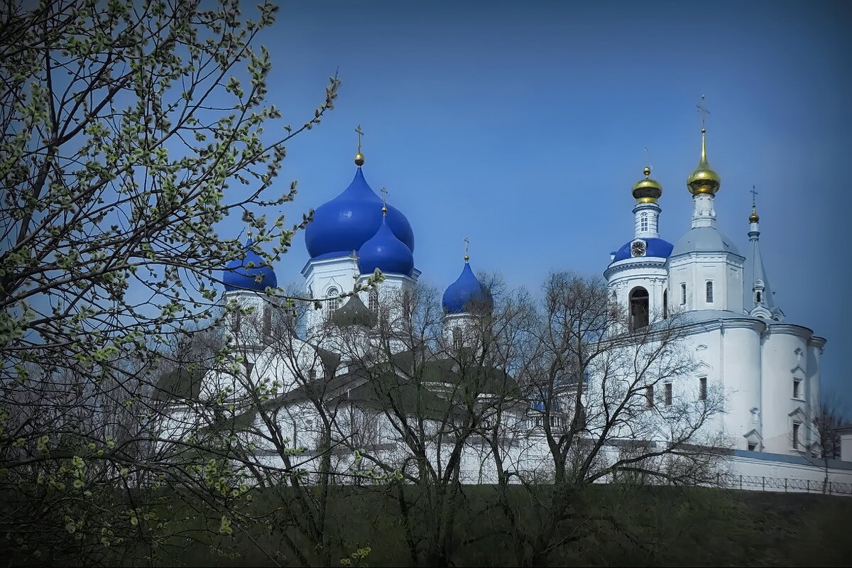 С Вербным Воскресением! - Владимир Шошин