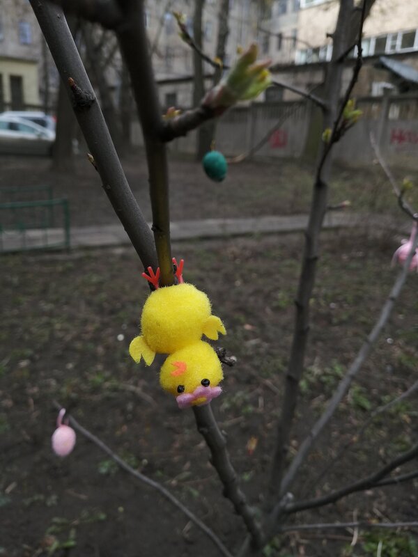 ХОЧЕШЬ, ЧТОБЫ НЕ СЪЕЛИ, ПРИТВОРИСЬ ЛЕТУЧЕЙ МЫШЬЮ - Юрий Вовк