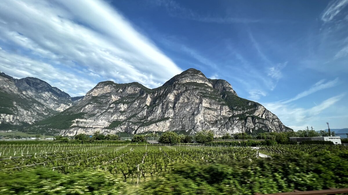 -Италия SüdTirol Gärten von Schloss Trauttmansdorf in Meran Übersich. - "The Natural World" Александер