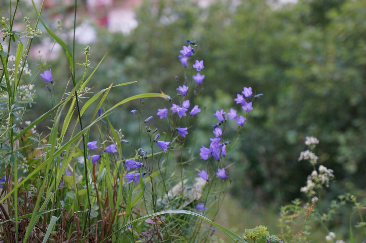 * * * - Алёна Савина