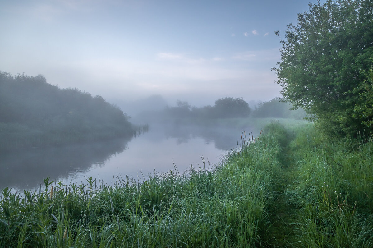 **** - Елизавета .