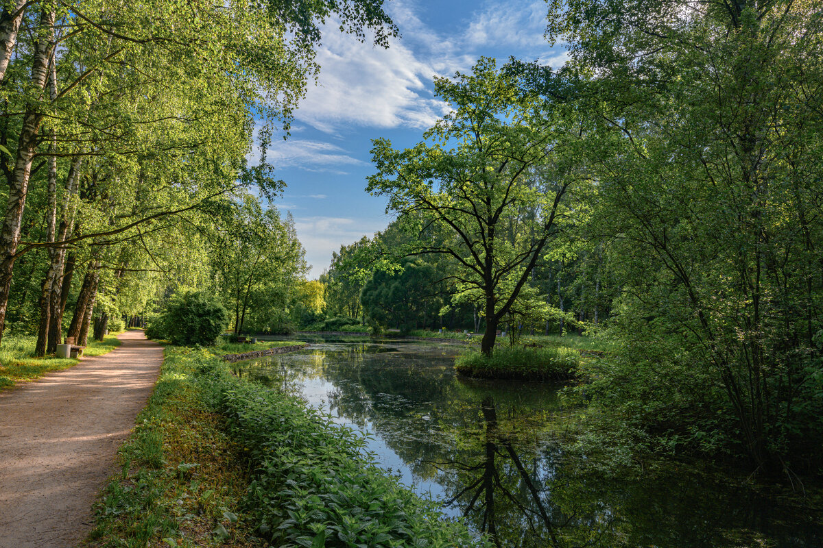 Сегодня на Путяевских прудах. - Василий Ярославцев