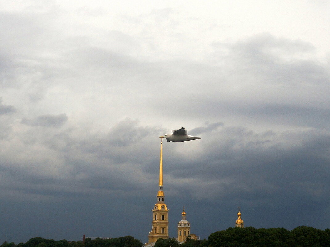 "... в воздухе пахнет грозой..." - zavitok *