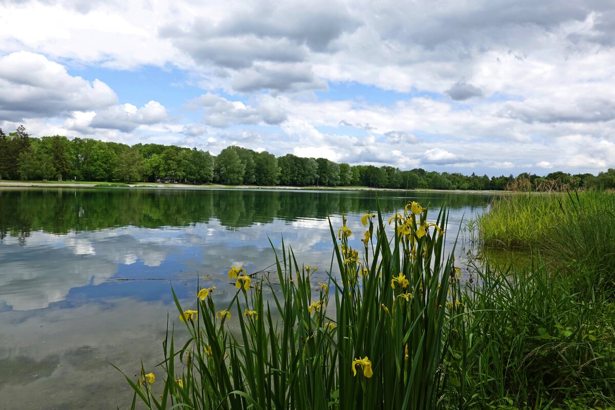 Жизнь полна маленьких чудес! Стоит только снизить скорость своей суеты...... - Галина Жизнь полна маленьких чудес! Стоит только снизить скорость своей суеты...... - Галина