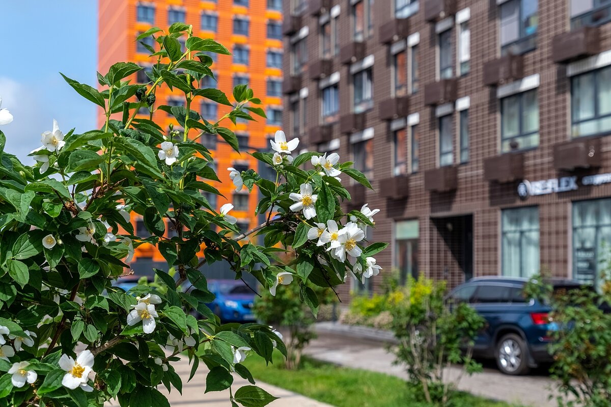 Июнь в Москве - Валерий Иванович