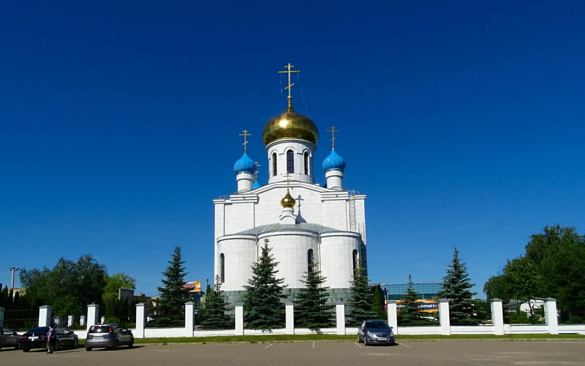 Православные храмы Смоленска. - Милешкин Владимир Алексеевич 