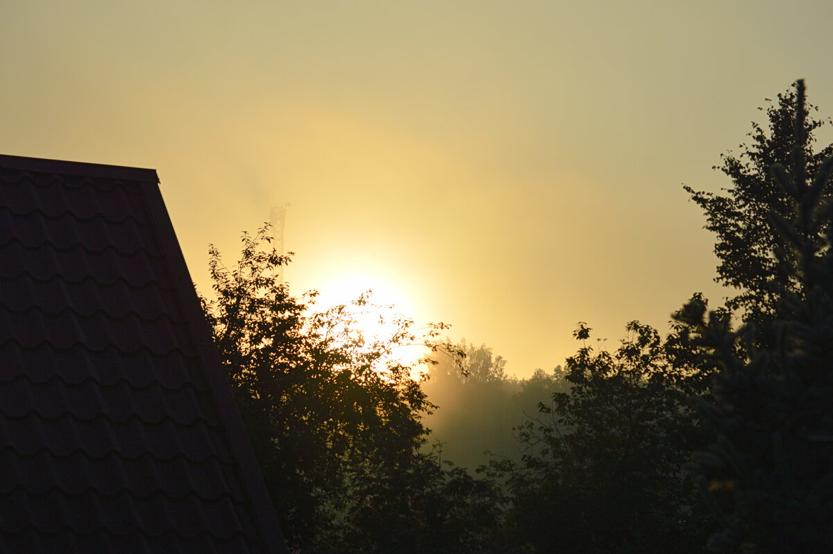 Солнышко встаёт - Татьяна Лютаева Солнышко встаёт - Татьяна Лютаева