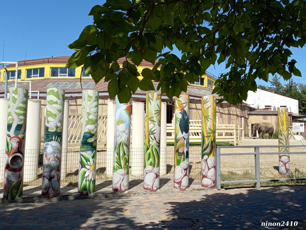 В ростовском зоопарке - Нина Бутко В ростовском зоопарке - Нина Бутко