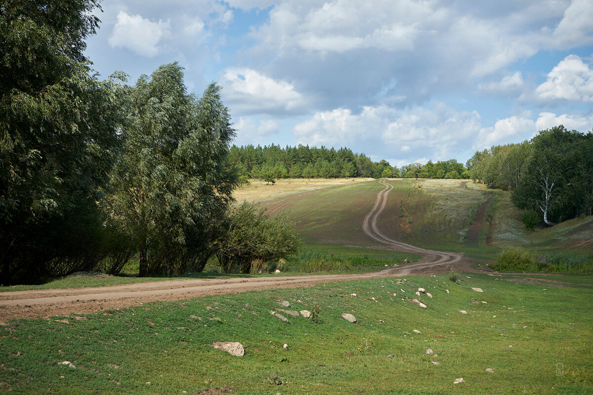 Дорожка - Олег Манаенков