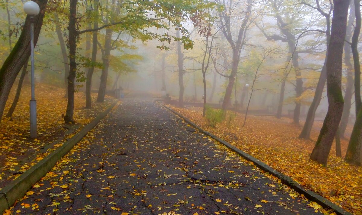 В старом парке..... - Юрий Цыплятников