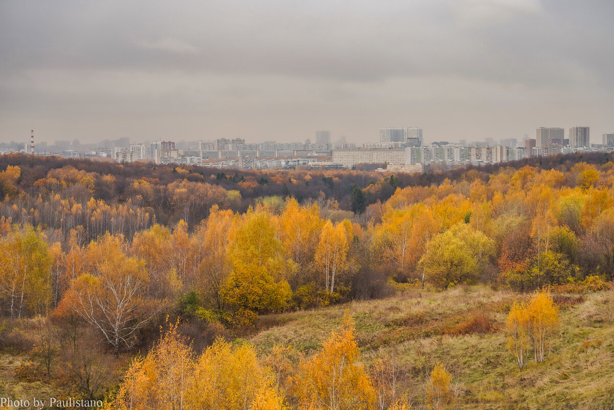 Московская осень... - Владимир Жданов