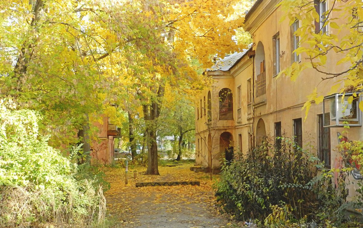 двор в осеннем золоте - Лера 