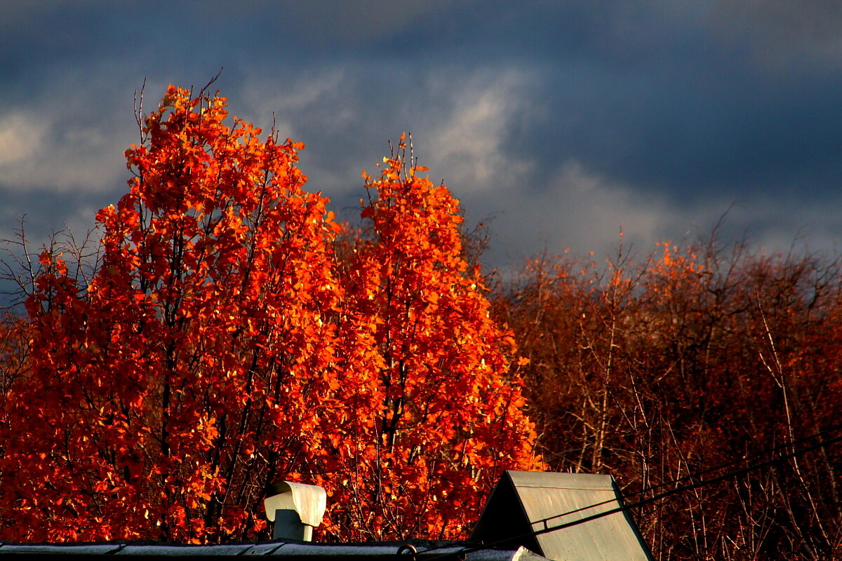 Костры  горят далекие... - олег свирский 