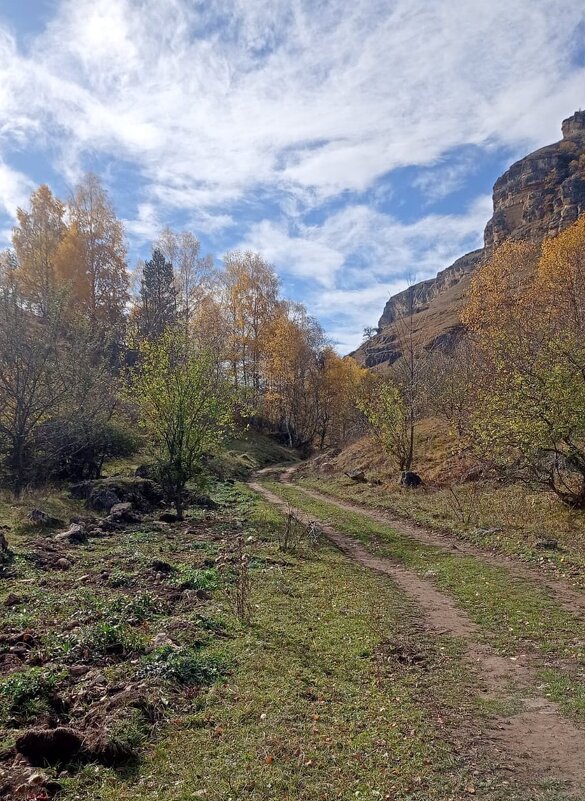 Кисловодск. Берёзовское ущелье - Нина Бутко