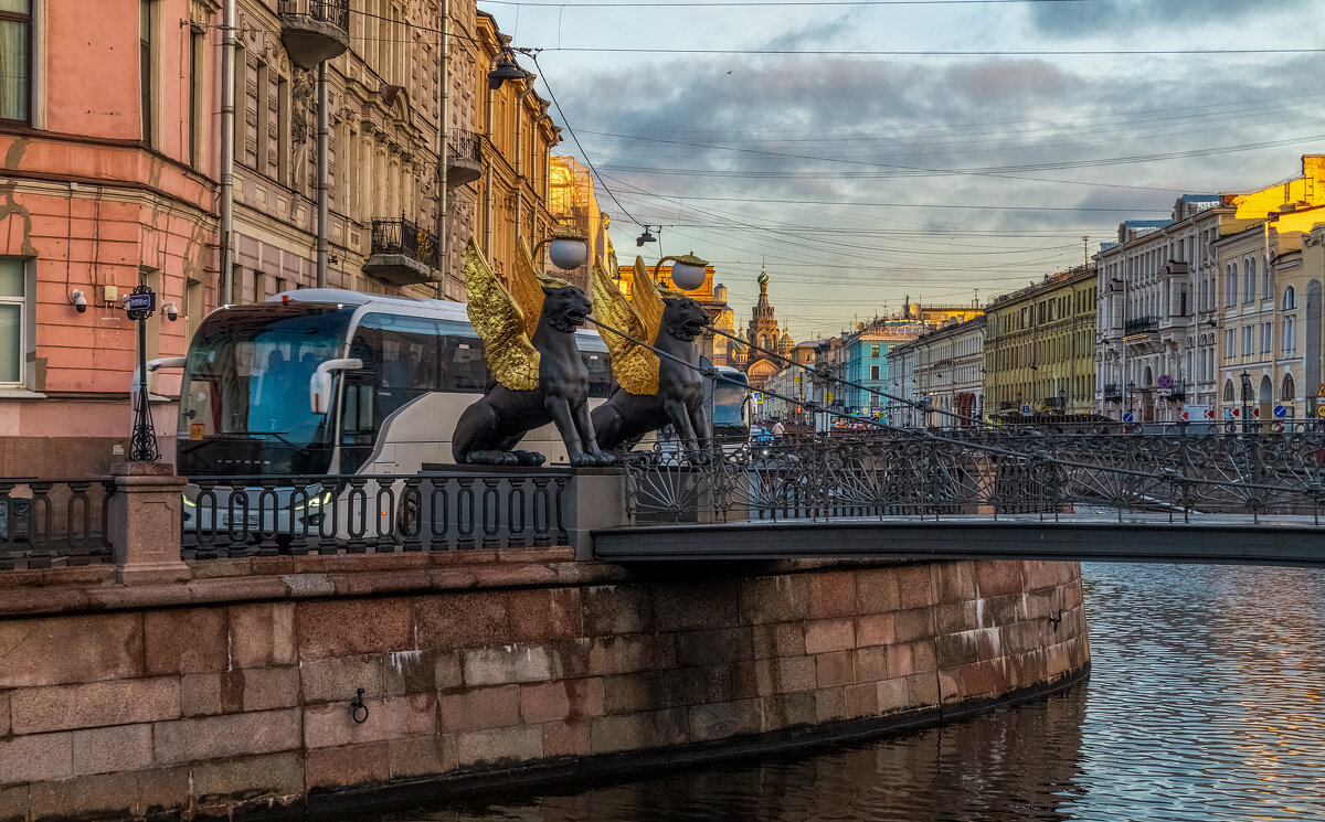 Ноябрь в Санкт-Петербурге 5 - Андрей Дворников