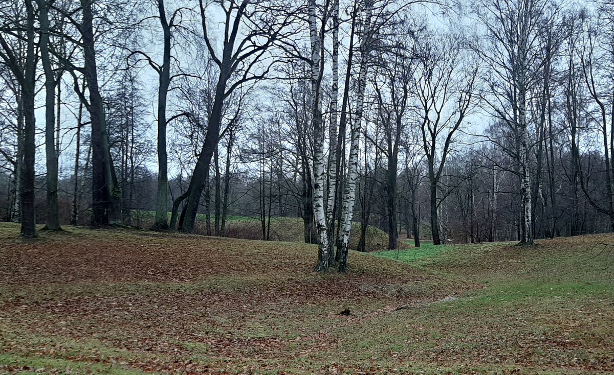 Парк Александрия - Наталья Герасимова