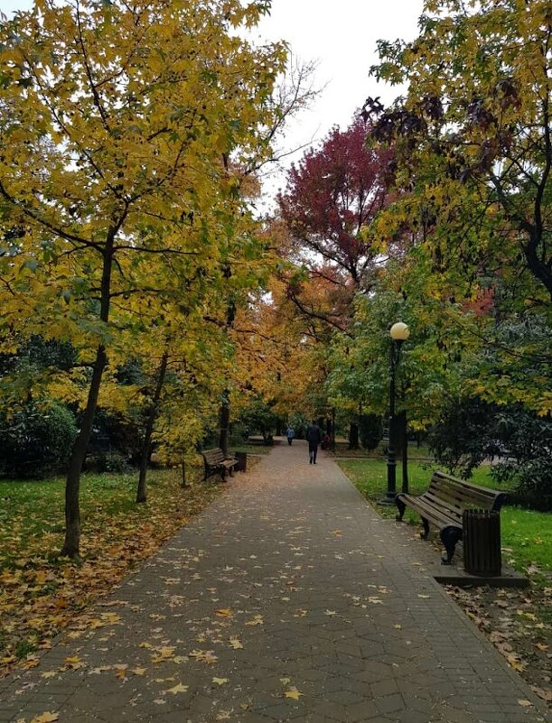 МОЯ УЛИЦА - Tata Wolf