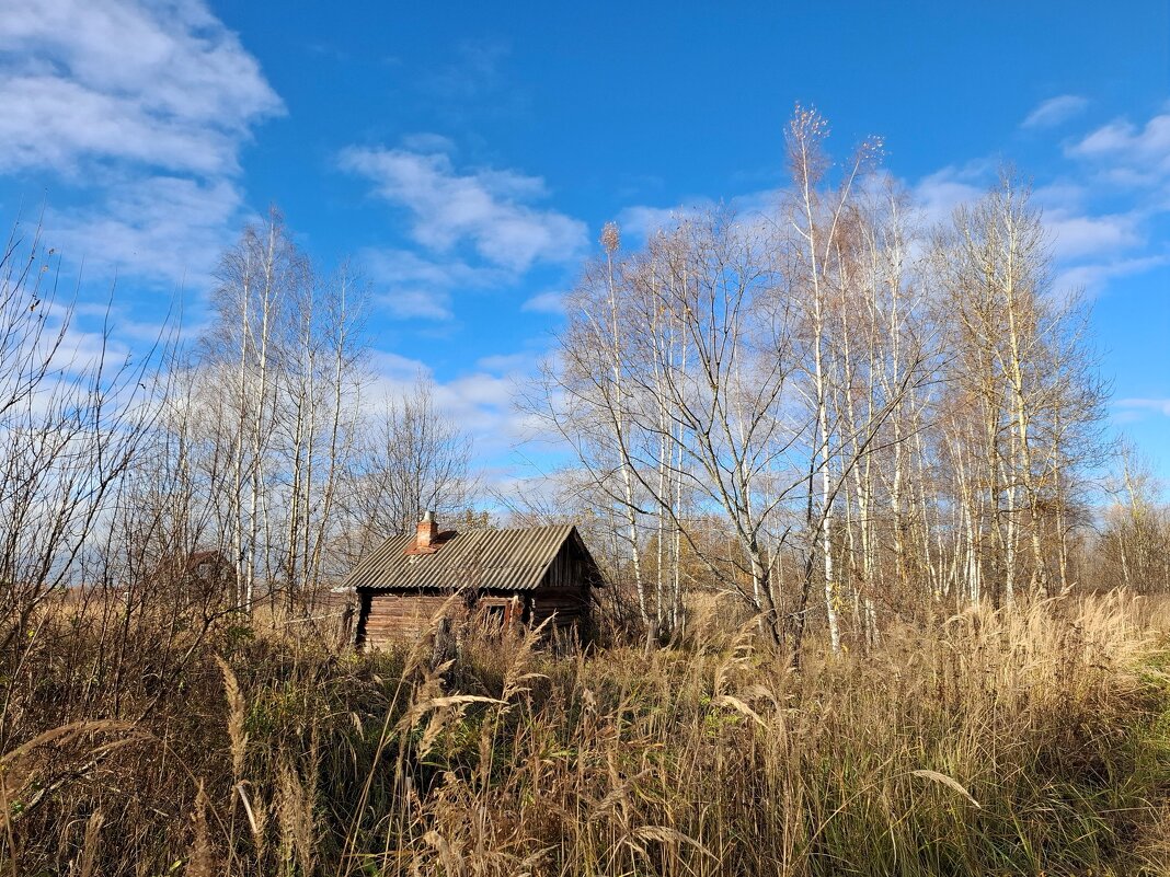 Заброшенная баня в деревне - Мария Демина