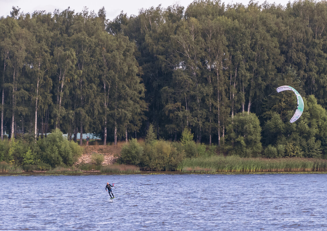 Парить над Волгой на подводном крыле - Сергей Цветков Парить над Волгой на подводном крыле - Сергей Цветков