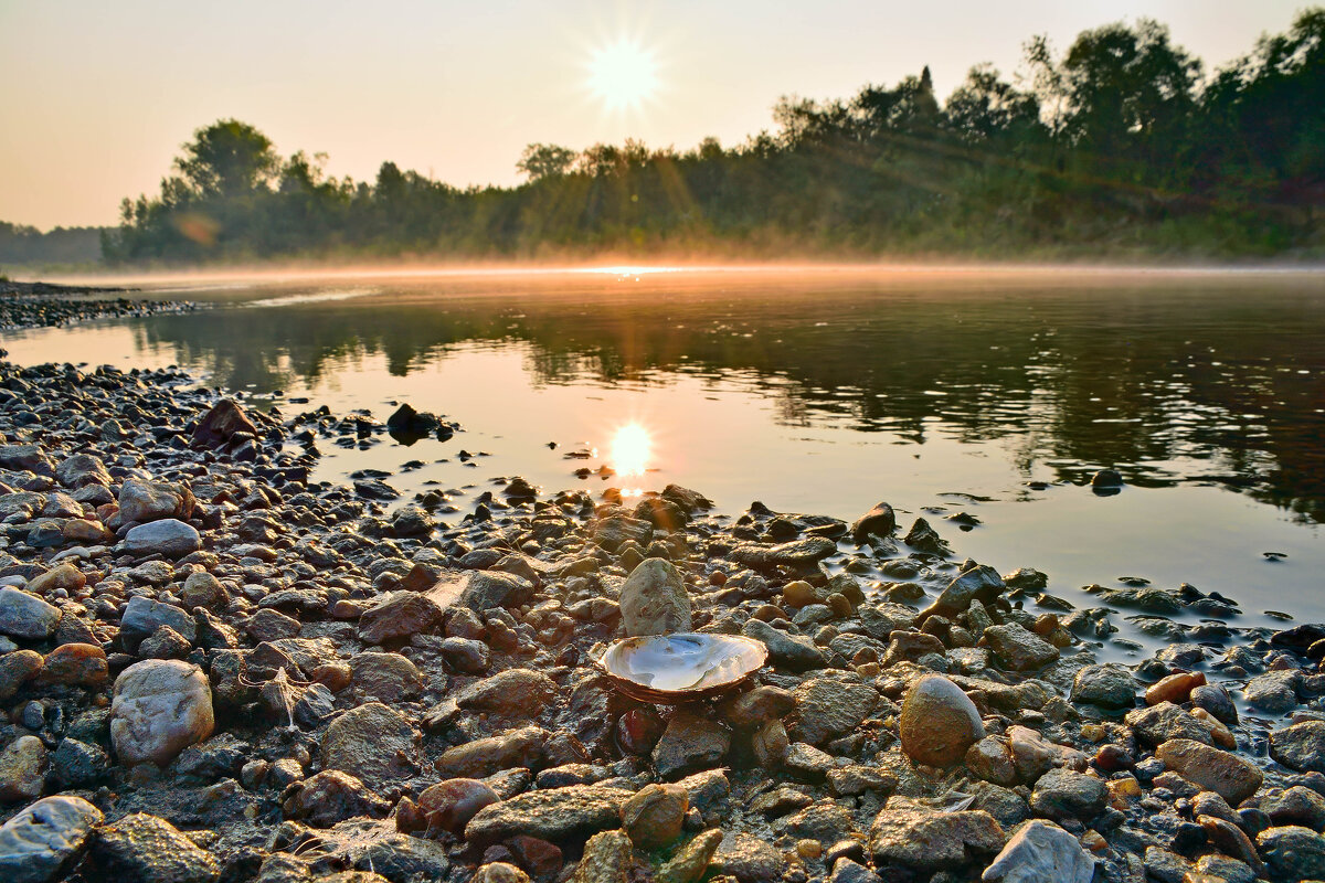 - - Владимир Мигонькин