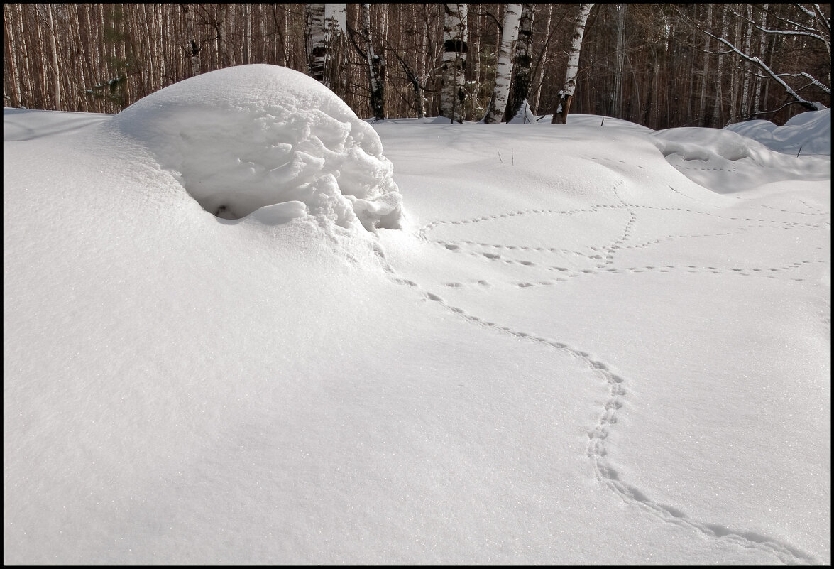 Март - **** vedin