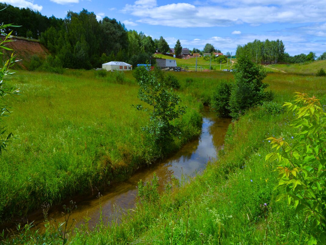 Новочебоксарск. Пойма реки Кукшум. - Пётр Чернега