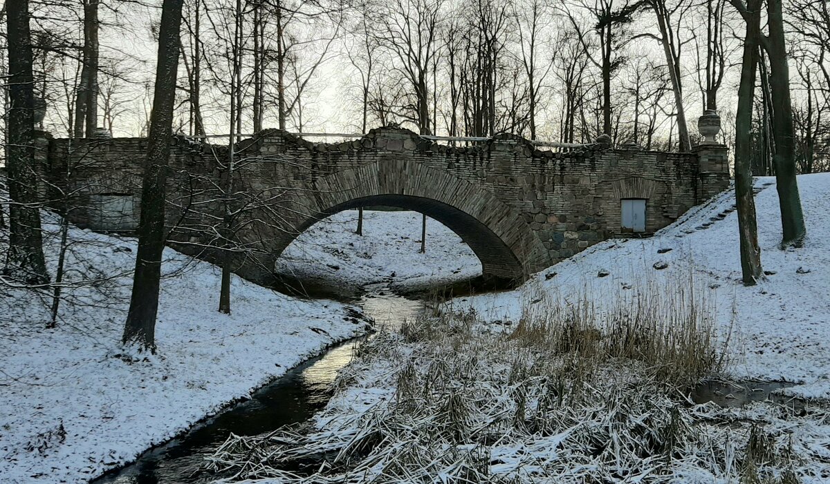 Александрия - Наталья Герасимова