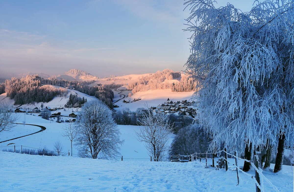 winter morning - Elena Wymann