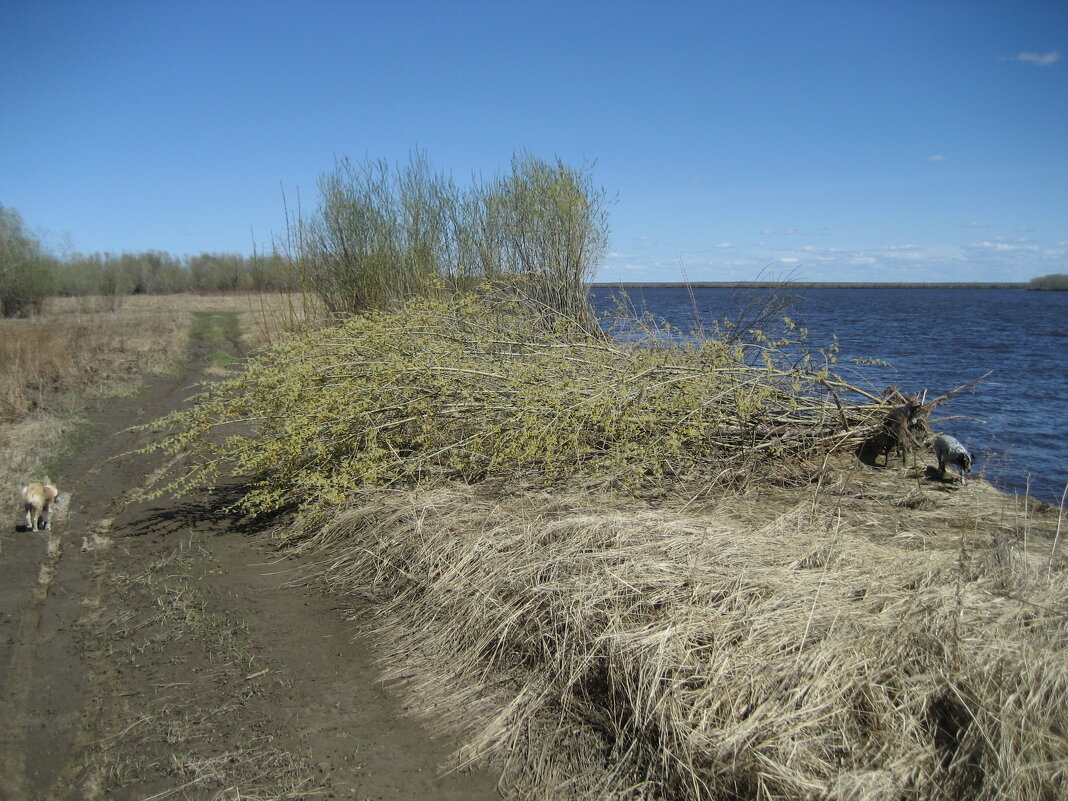 После паводка - Anna Ivanova