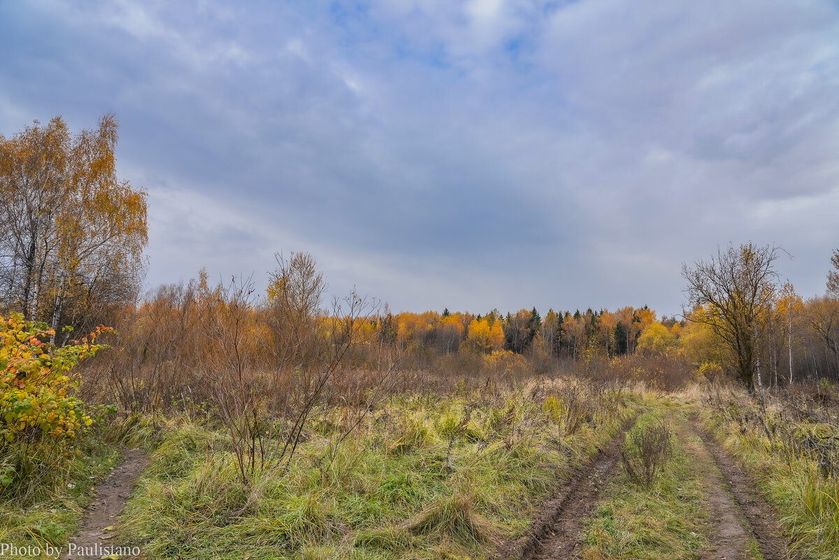 В поле... - Владимир Жданов В поле... - Владимир Жданов