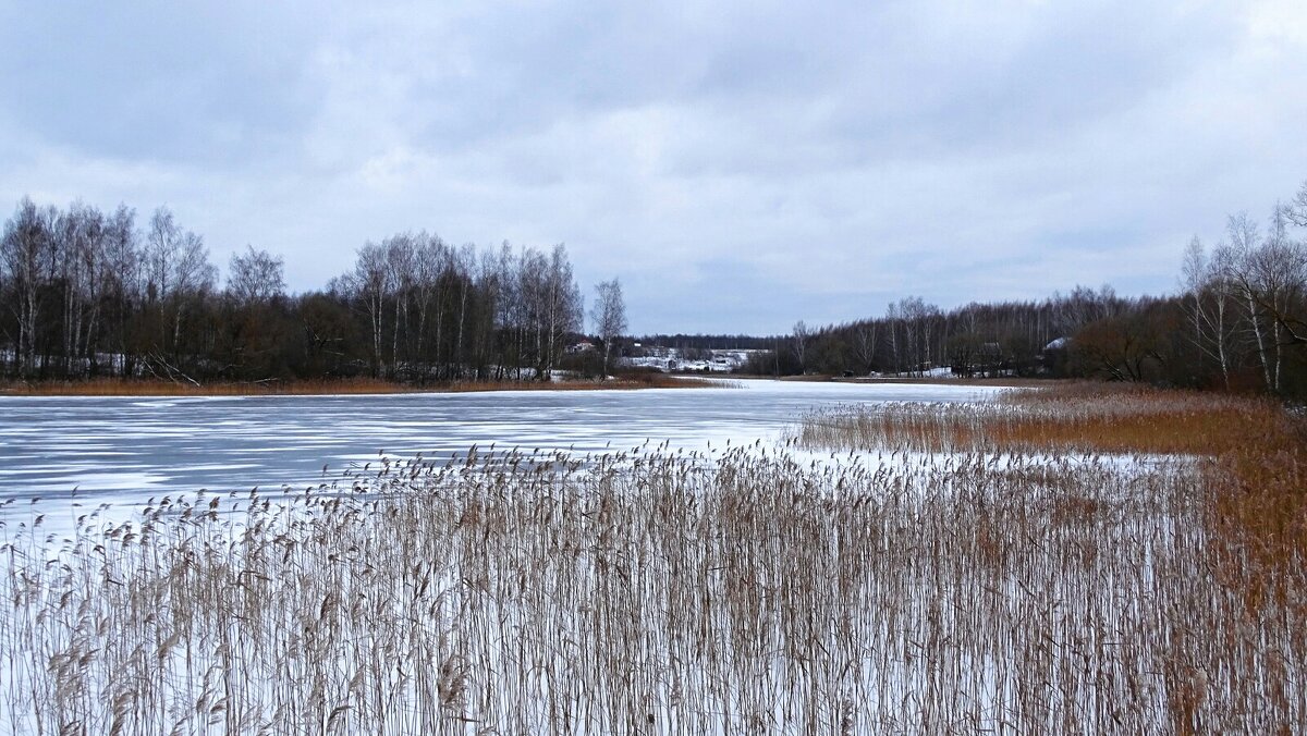 Про смоленские озёра (репортаж из поездок по области) - Милешкин Владимир Алексеевич 