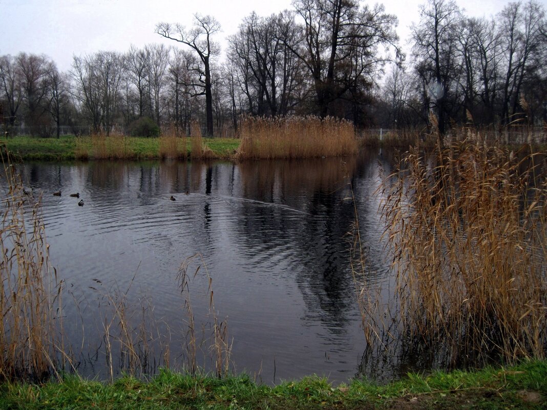 Александровский парк. Город Пушкин. - Ирина *** Александровский парк. Город Пушкин. - Ирина ***