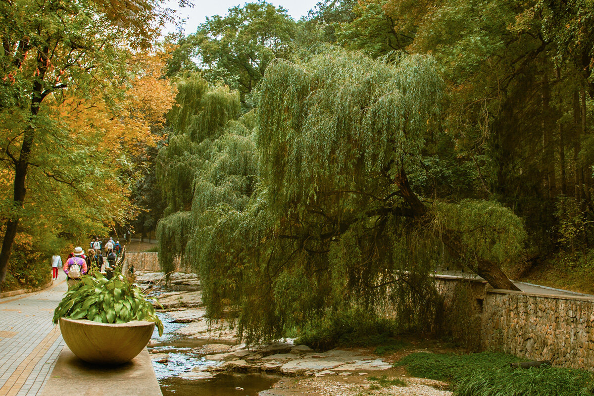 Ивушка - Александр Смольников Ивушка - Александр Смольников