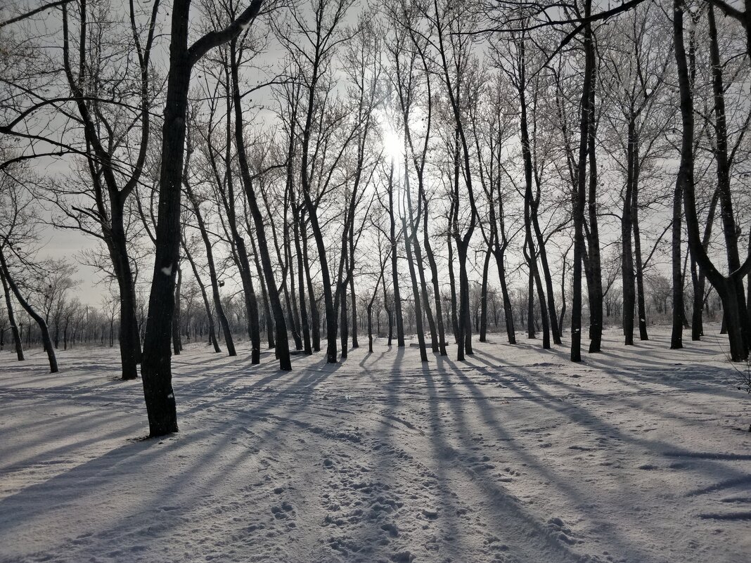 Луч Солнца... - Андрей Хлопонин