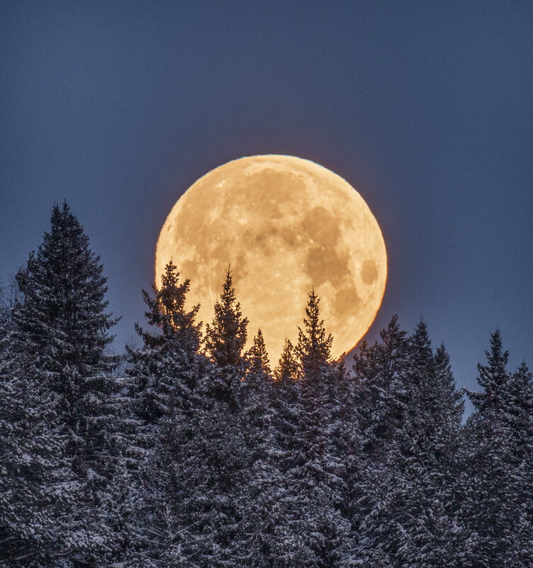 Полнолуние... - Алексей Сметкин