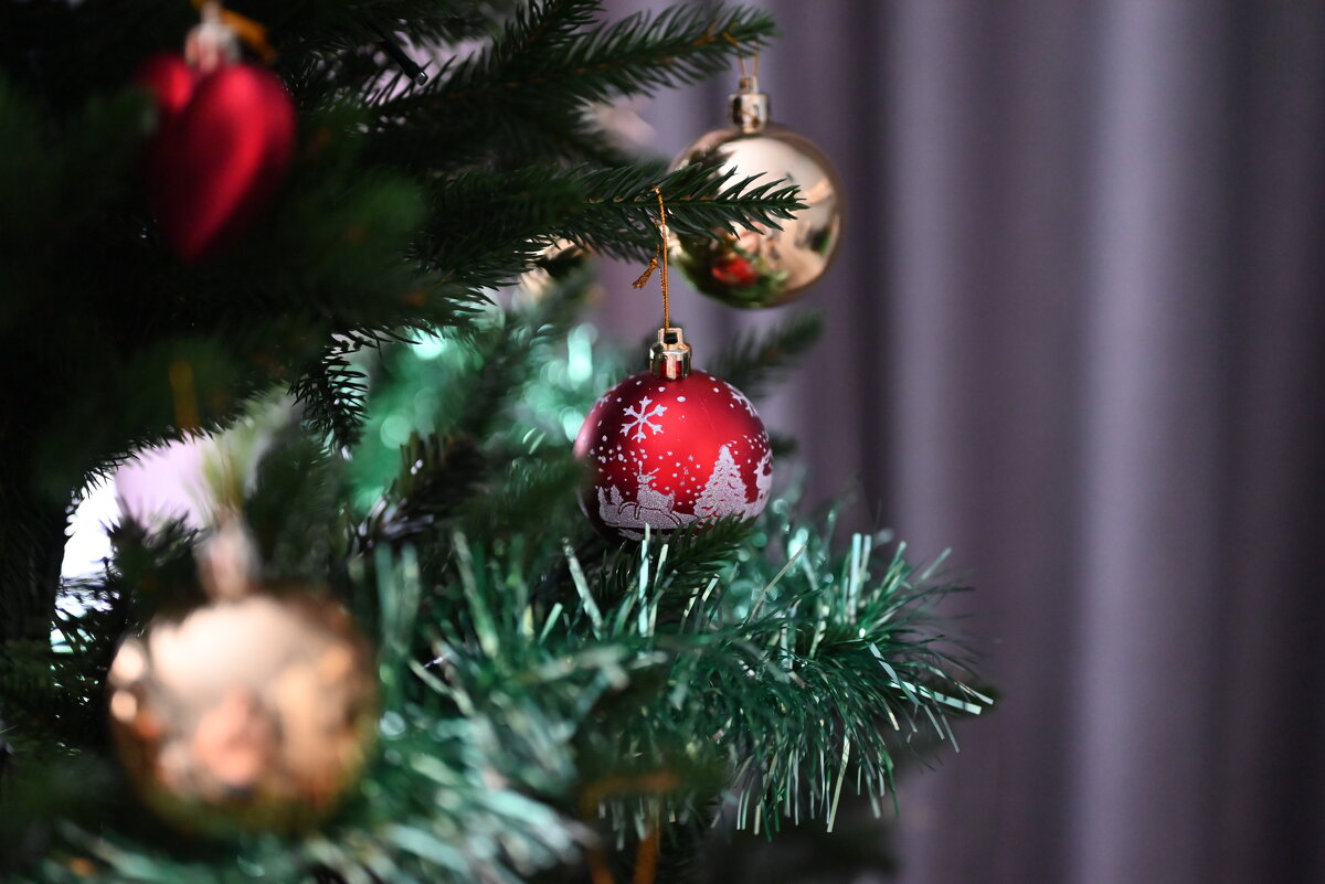 Скоро, скоро) - Митяй Митрич