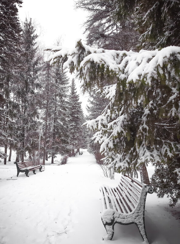 Зимняя сказка - Юлия Закопайло