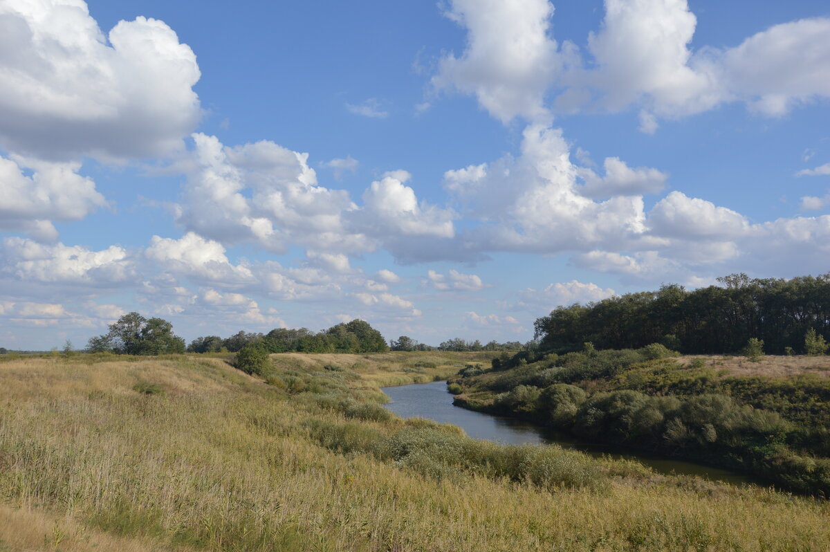 Донские виды. - Виктор 