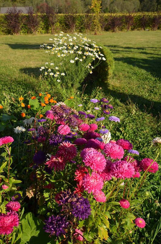 последние осенние... - Галина R... последние осенние... - Галина R...