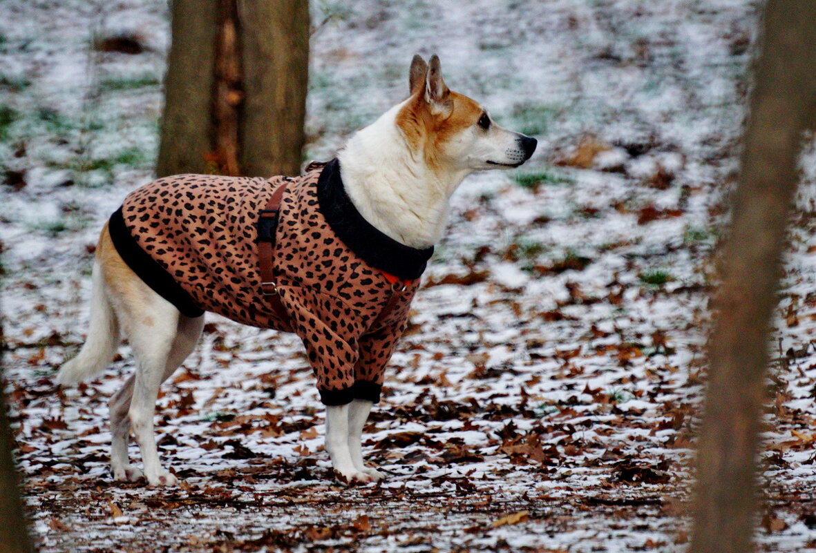 В парке... - Николай Саржанов В парке... - Николай Саржанов