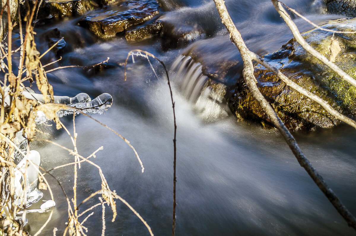 Молочная река - Андрей Щетинин Молочная река - Андрей Щетинин
