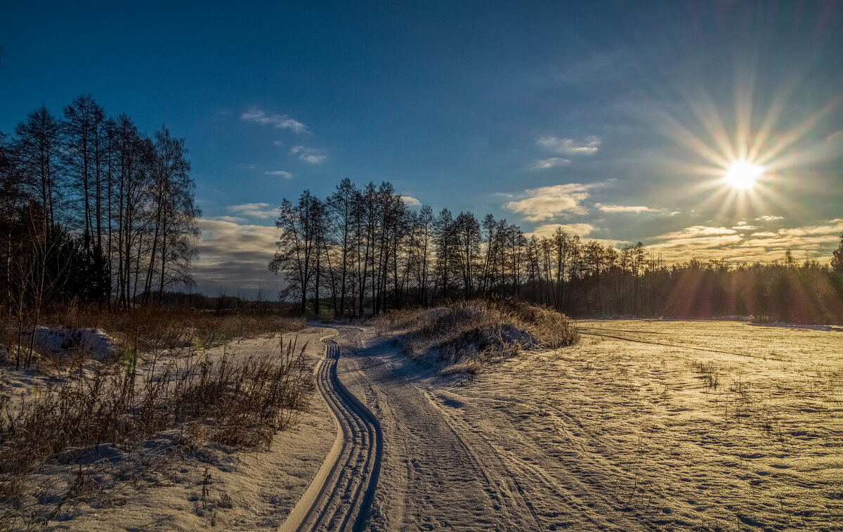 День зимнего солнцестояния - Андрей Дворников День зимнего солнцестояния - Андрей Дворников