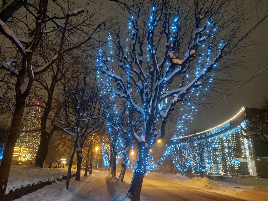 Новогодние украшения - Сапсан Новогодние украшения - Сапсан