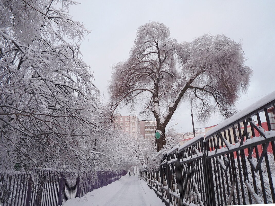 Городские зарисовки - Ольга Довженко