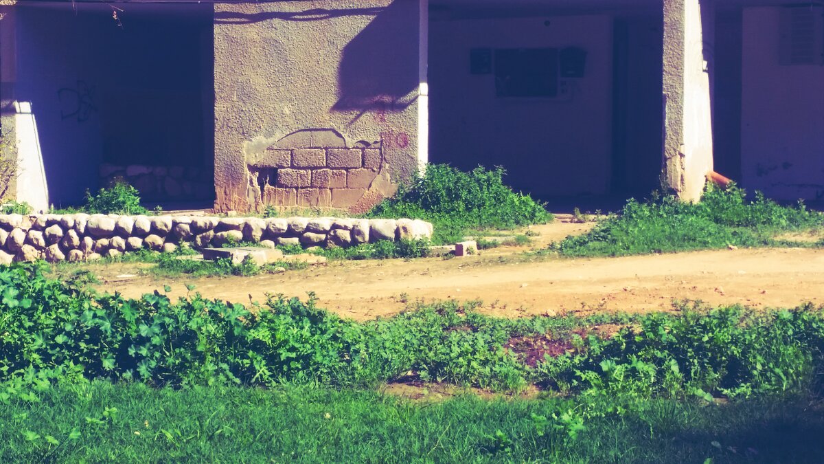 12  КЛОС (259) - CLOSE WAYS ALL