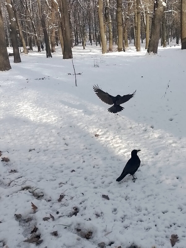 *** - Валентина Береснева