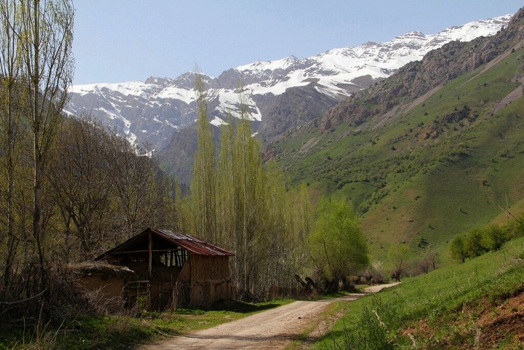 ДОРОГА ПО ПСКЕМУ. - Виктор Осипчук