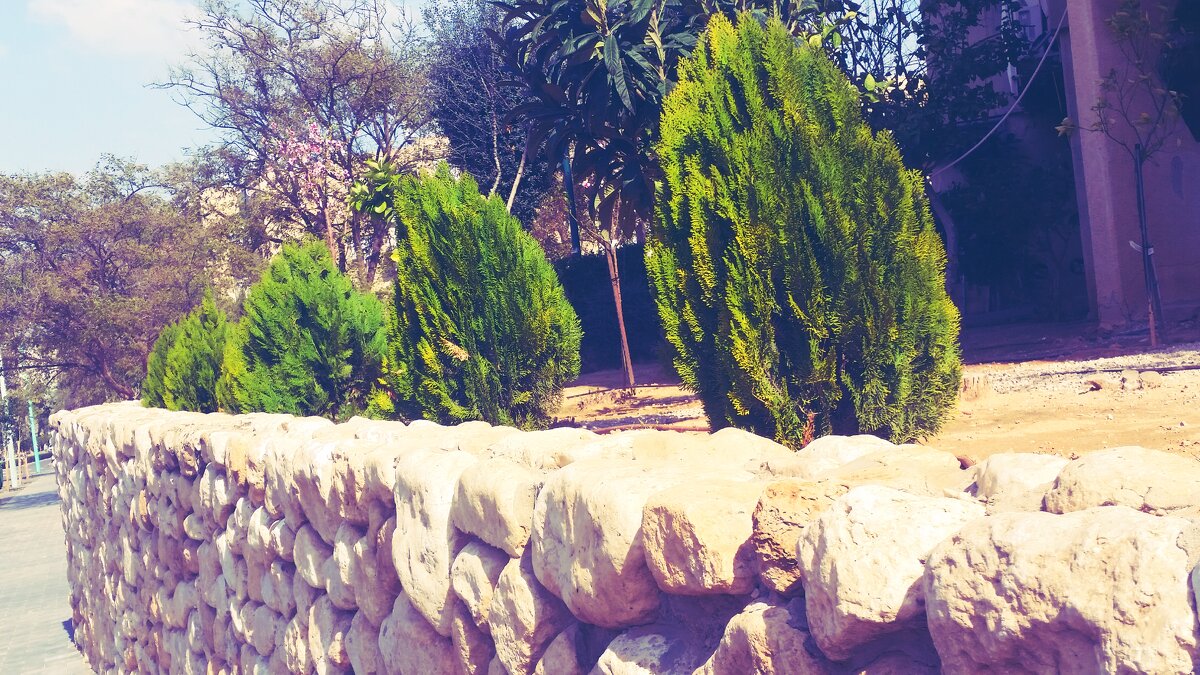 12  КЛОС (264) - CLOSE WAYS ALL