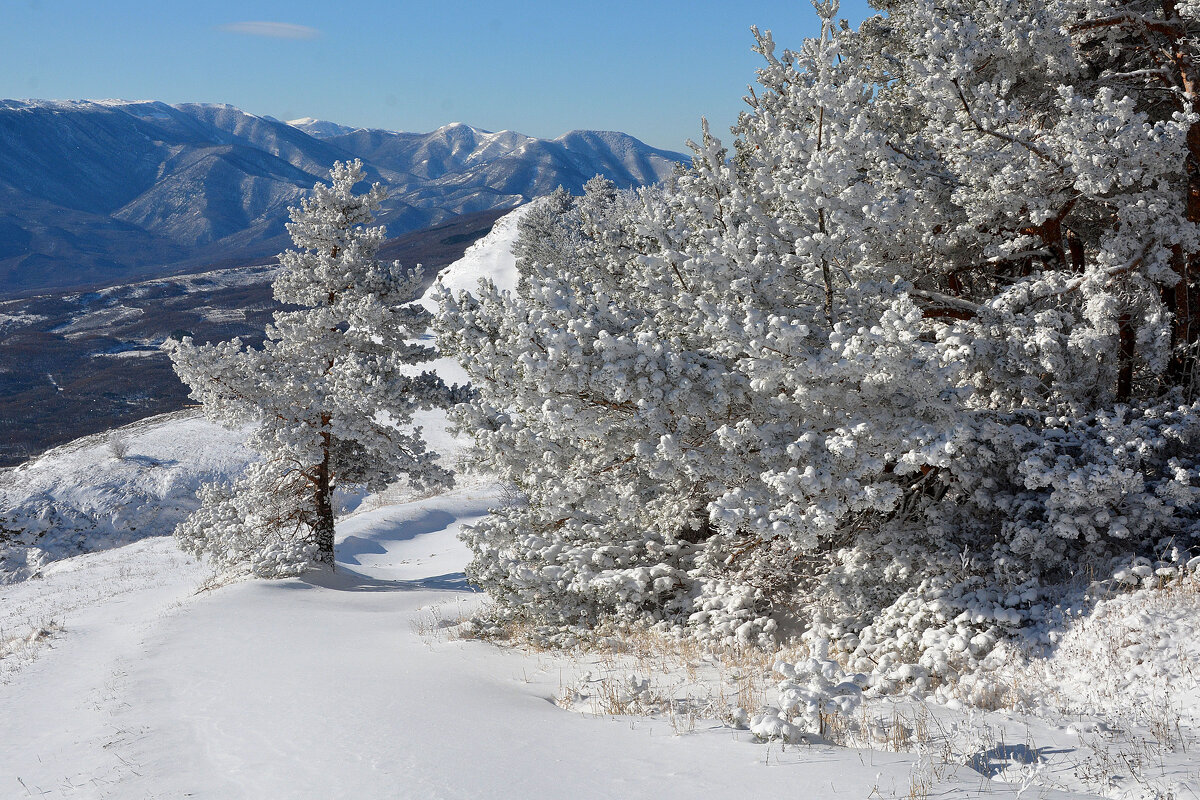 Демерджи. - Сергей Воротников