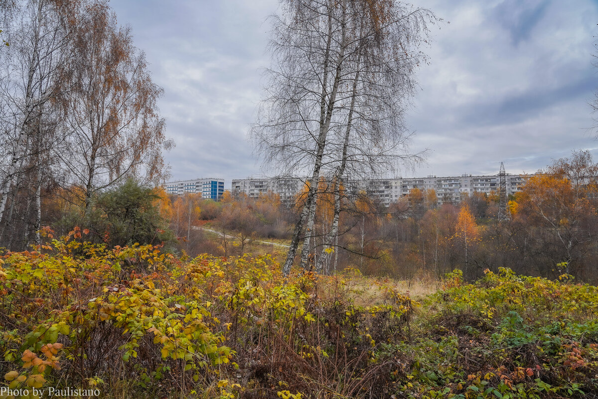 Московская осень... - Владимир Жданов